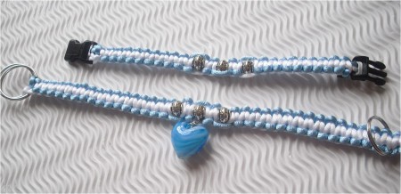 Hundehalsband + Frauli-Armband hellblau/weiß