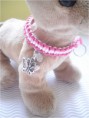 /album/hunde-design/cimg5367-jpg/