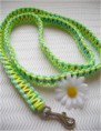 /album/hunde-design/cimg5486-jpg/