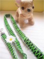 /album/hunde-design/cimg5558-jpg/