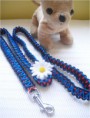 /album/hunde-design/cimg5561-jpg/