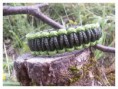 /album/alles-fur-den-mann/a2016-08-22-14-37-47-jpg/